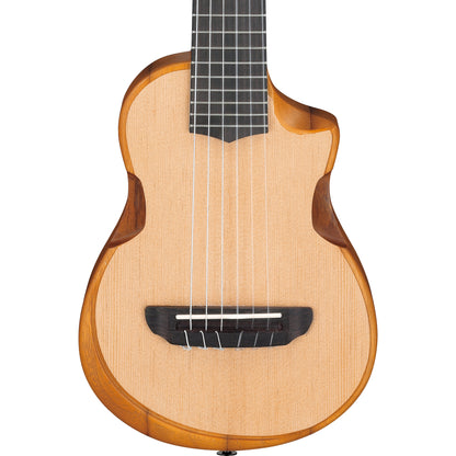 Ibanez AUP10NOPN Tenor Ukulele, Open Pore Natural